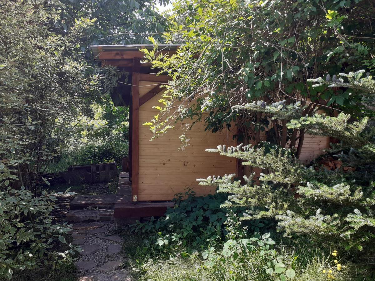 Willa Bawarczyk Istebna Exterior foto